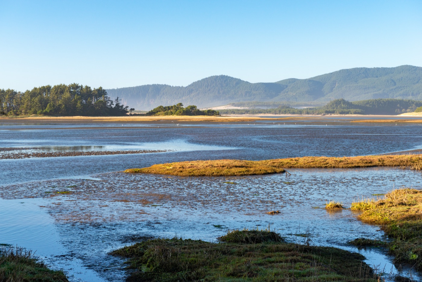Sitka Sedge State Natural Area and Sand Lake estuary from the dike trail